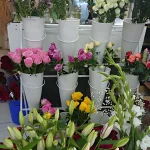 Creative Florist & Flowers