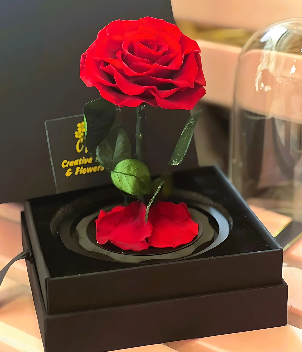 Infinity Roses Flower Gift